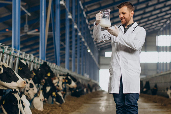 Белстат: производство сельхозпродукции в Беларуси в январе - сентябре 2026 года выросло на 4,6 %